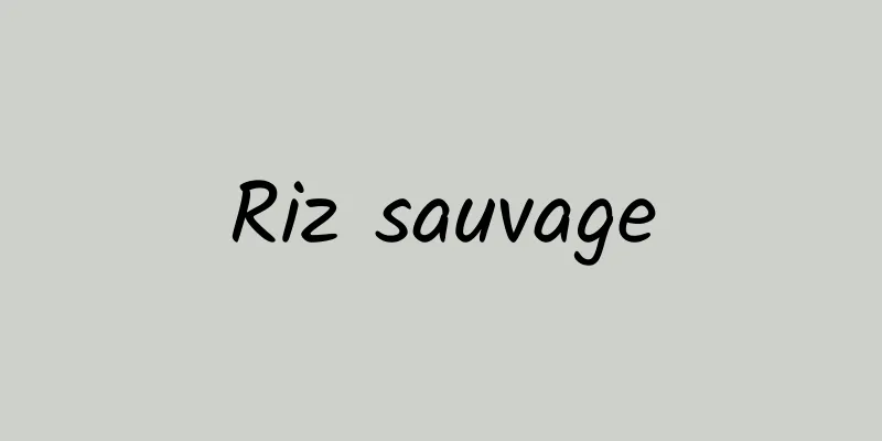 Riz sauvage