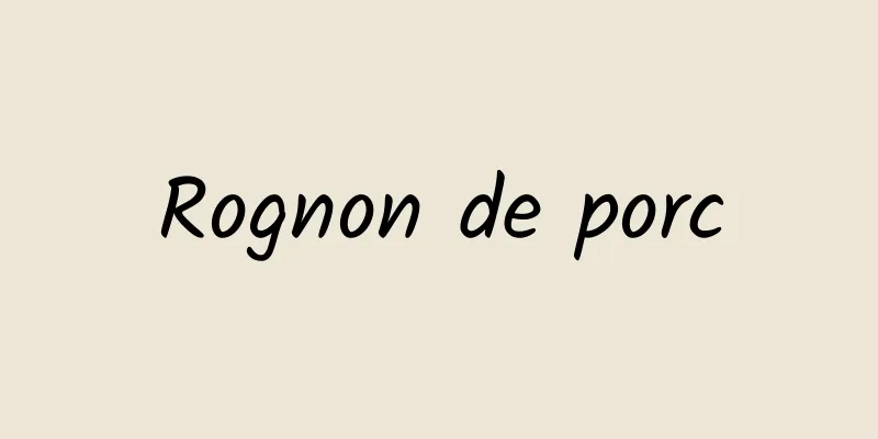 Rognon de porc