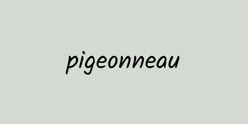 pigeonneau