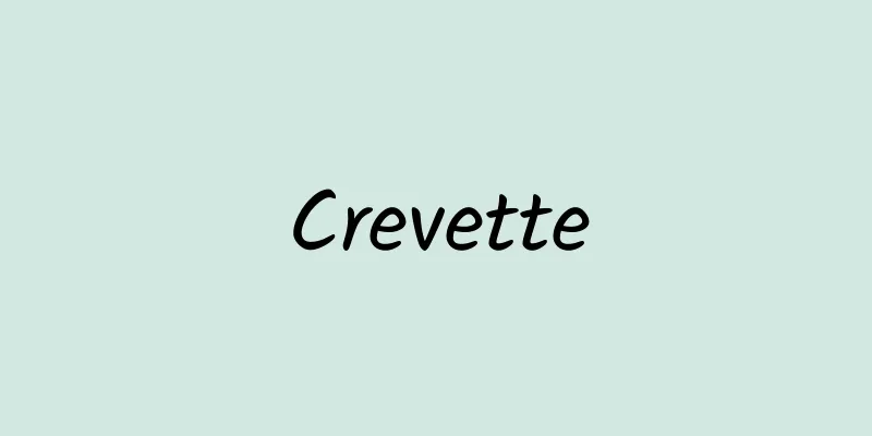 Crevette