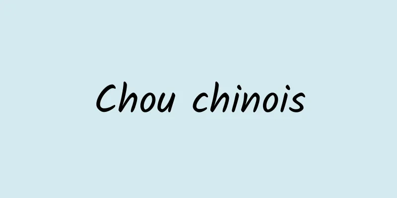 Chou chinois