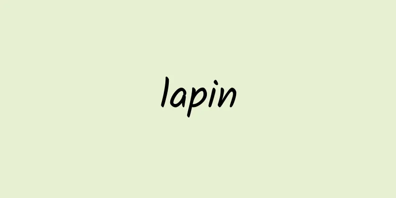 lapin