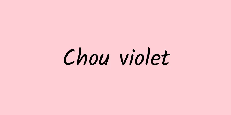 Chou violet