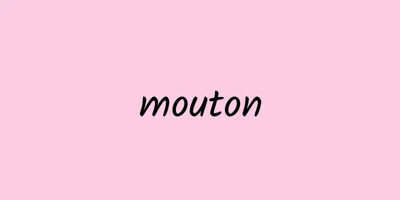 mouton