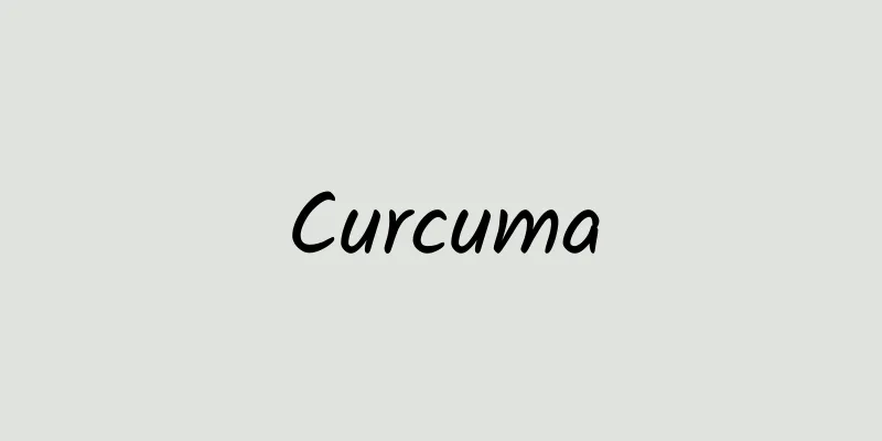 Curcuma