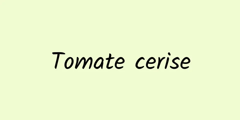 Tomate cerise