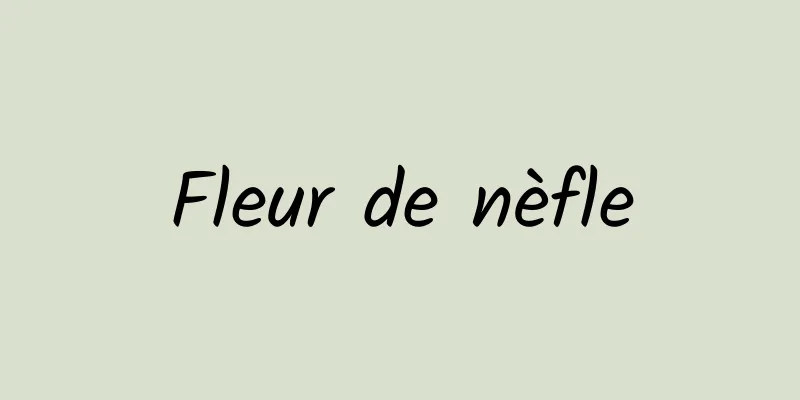 Fleur de nèfle