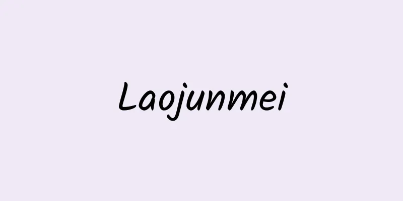 Laojunmei