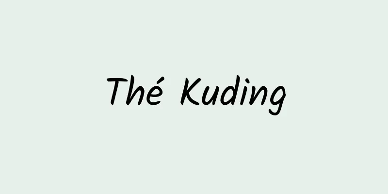 Thé Kuding