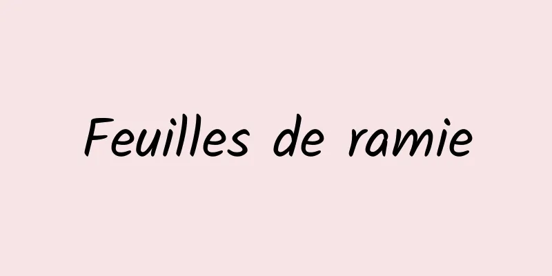 Feuilles de ramie