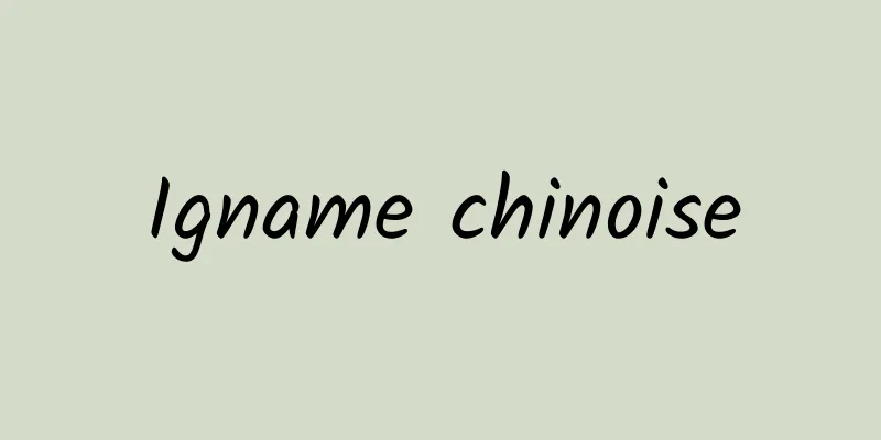 Igname chinoise