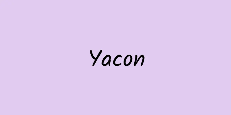 Yacon