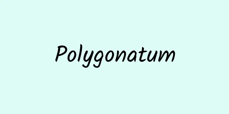 Polygonatum