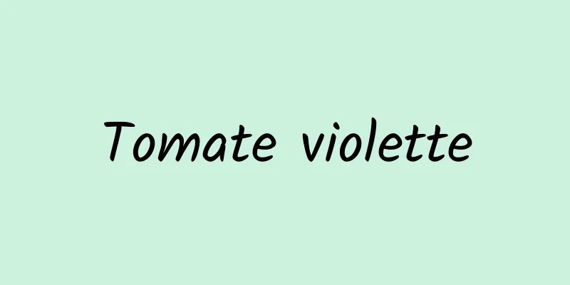 Tomate violette