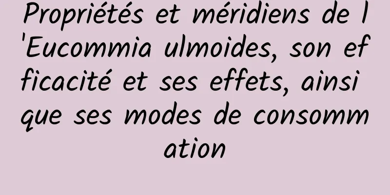 Propriétés et méridiens de l'Eucommia ulmoides, son efficacité et ses effets, ainsi que ses modes de consommation