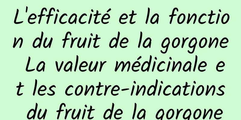 L'efficacité et la fonction du fruit de la gorgone La valeur médicinale et les contre-indications du fruit de la gorgone