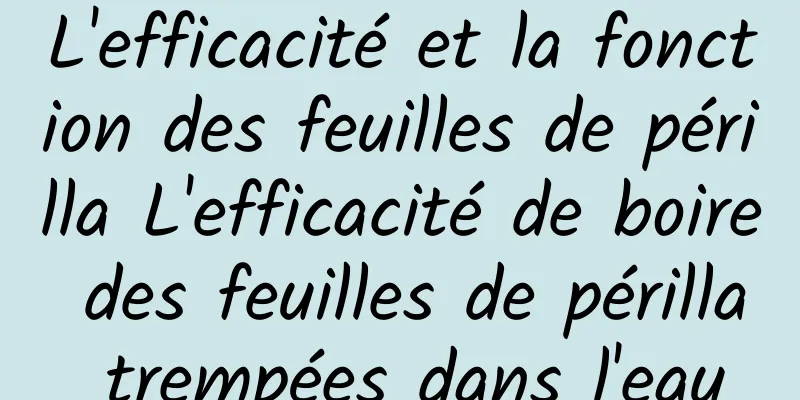 L'efficacité et la fonction des feuilles de périlla L'efficacité de boire des feuilles de périlla trempées dans l'eau