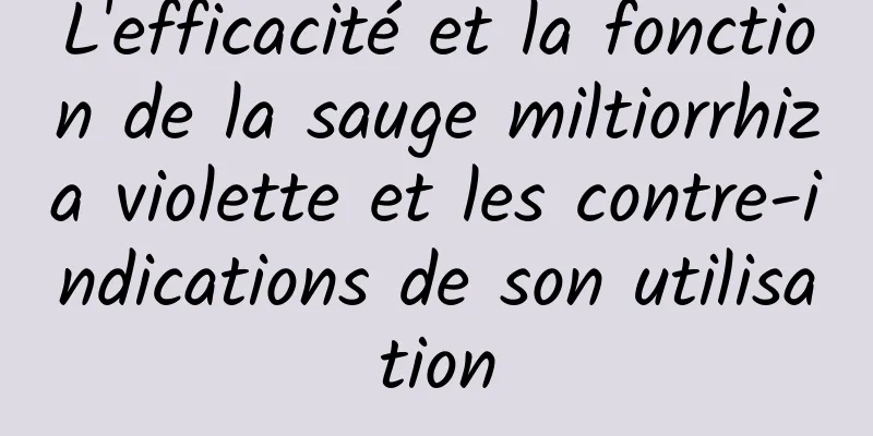 L'efficacité et la fonction de la sauge miltiorrhiza violette et les contre-indications de son utilisation