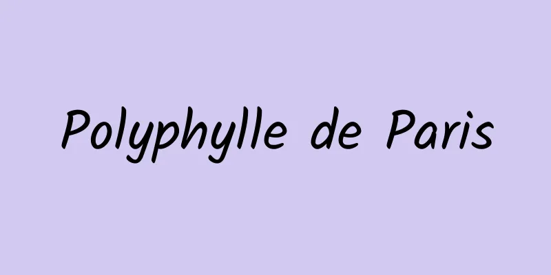 Polyphylle de Paris