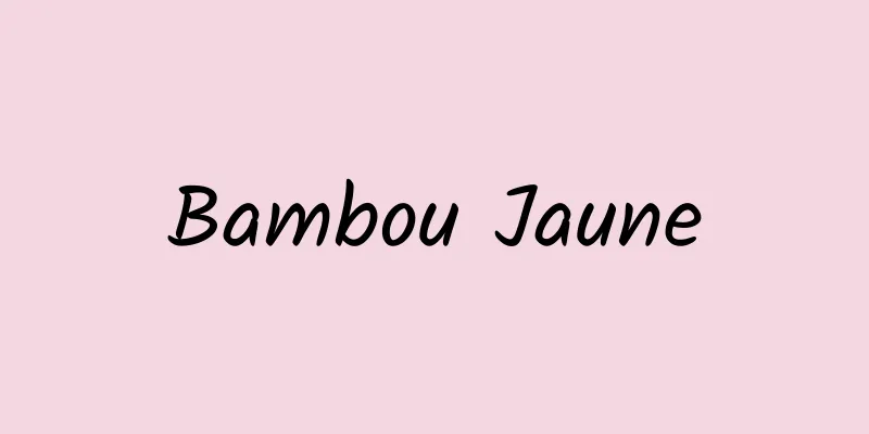 Bambou Jaune