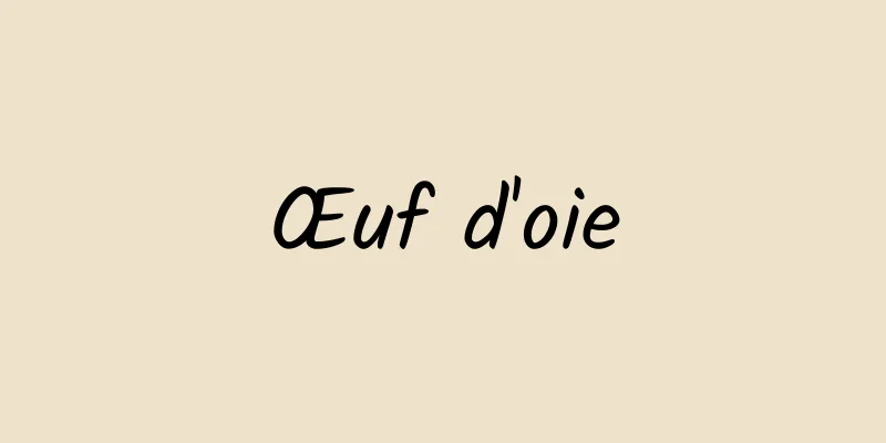 Œuf d'oie