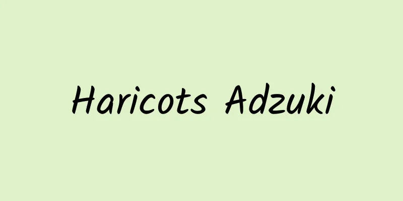 Haricots Adzuki