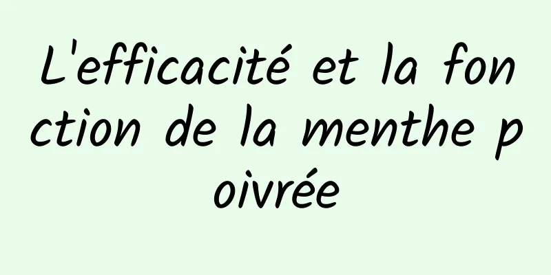 L'efficacité et la fonction de la menthe poivrée