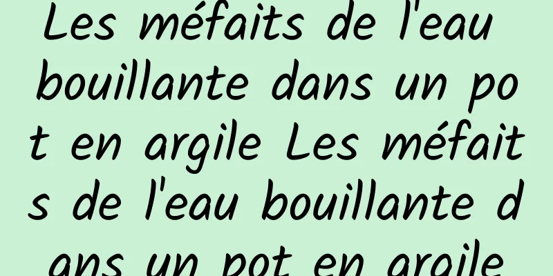 Les méfaits de l'eau bouillante dans un pot en argile Les méfaits de l'eau bouillante dans un pot en argile