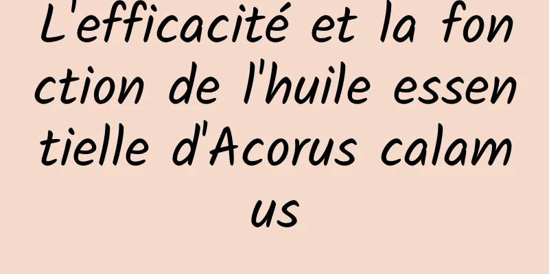 L'efficacité et la fonction de l'huile essentielle d'Acorus calamus