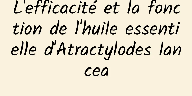 L'efficacité et la fonction de l'huile essentielle d'Atractylodes lancea