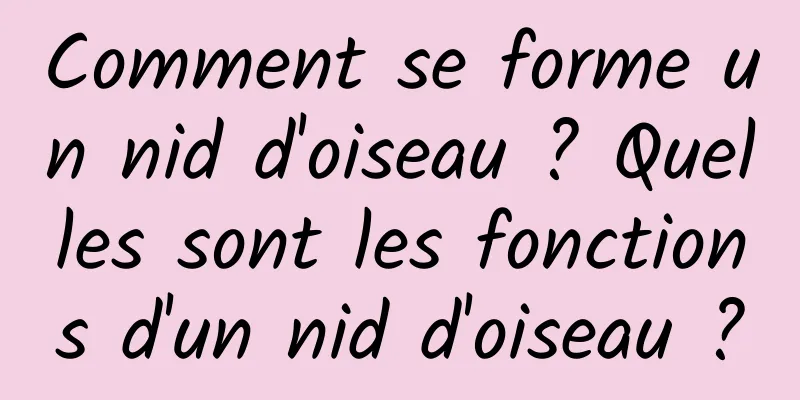 Comment se forme un nid d'oiseau ? Quelles sont les fonctions d'un nid d'oiseau ?