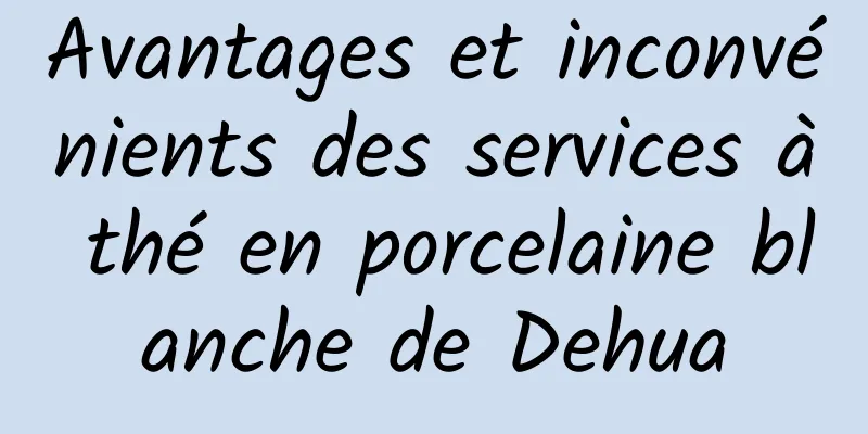 Avantages et inconvénients des services à thé en porcelaine blanche de Dehua