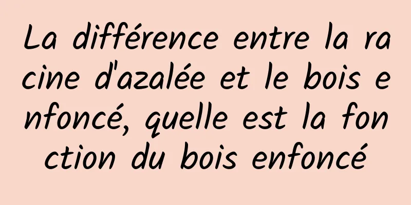 La différence entre la racine d'azalée et le bois enfoncé, quelle est la fonction du bois enfoncé