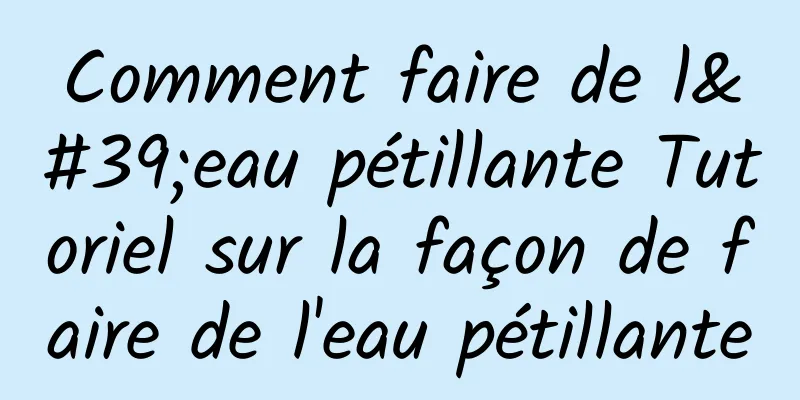 Comment faire de l'eau pétillante Tutoriel sur la façon de faire de l'eau pétillante