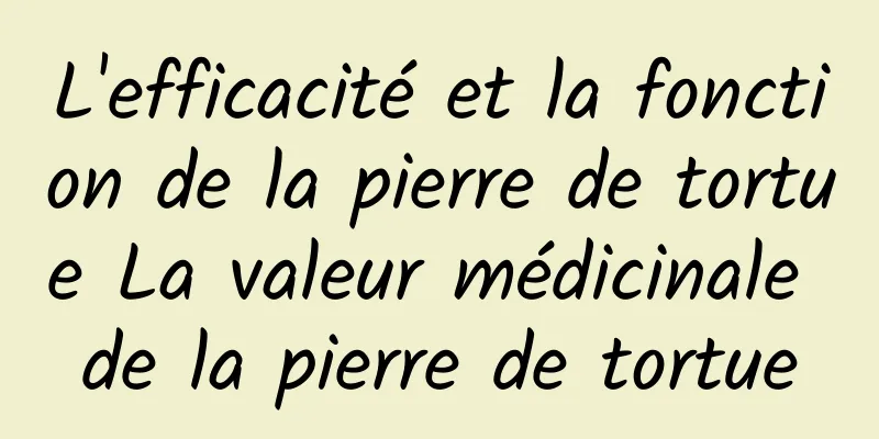 L'efficacité et la fonction de la pierre de tortue La valeur médicinale de la pierre de tortue