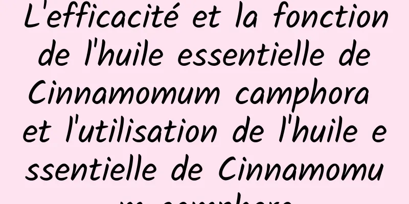 L'efficacité et la fonction de l'huile essentielle de Cinnamomum camphora et l'utilisation de l'huile essentielle de Cinnamomum camphora