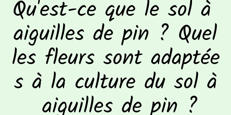 Qu'est-ce que le sol à aiguilles de pin ? Quelles fleurs sont adaptées à la culture du sol à aiguilles de pin ?