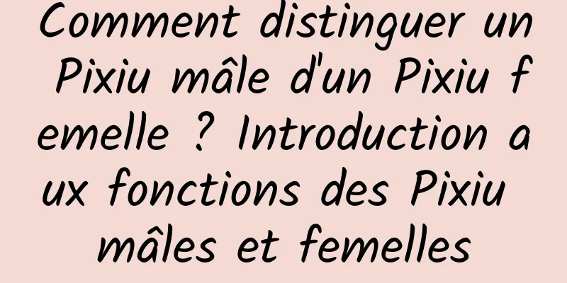 Comment distinguer un Pixiu mâle d'un Pixiu femelle ? Introduction aux fonctions des Pixiu mâles et femelles