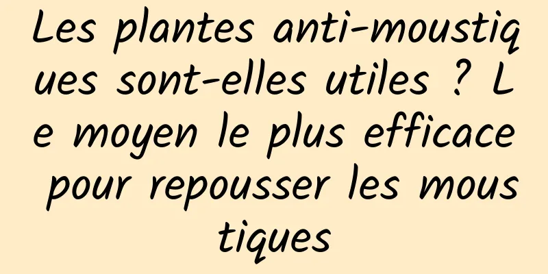 Les plantes anti-moustiques sont-elles utiles ? Le moyen le plus efficace pour repousser les moustiques