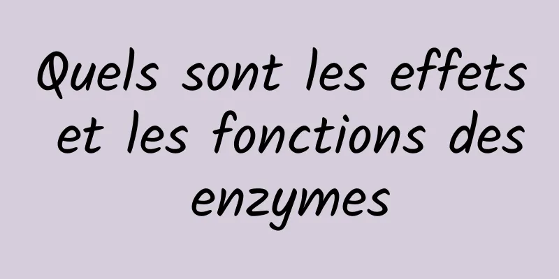 Quels sont les effets et les fonctions des enzymes