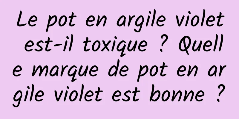 Le pot en argile violet est-il toxique ? Quelle marque de pot en argile violet est bonne ?