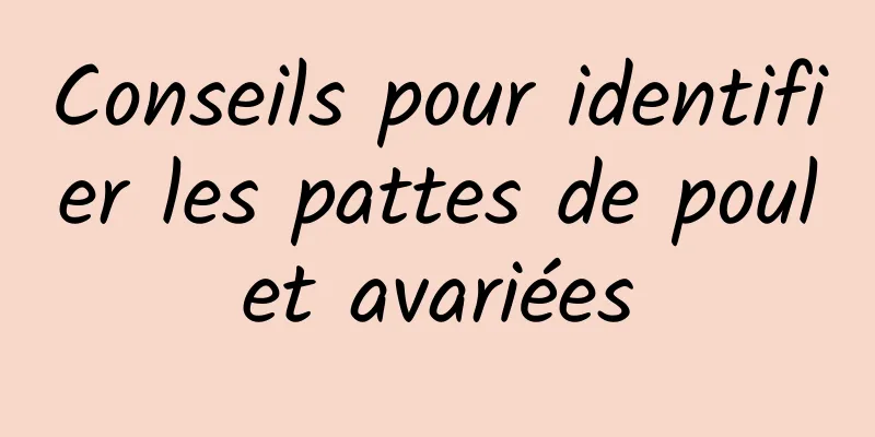 Conseils pour identifier les pattes de poulet avariées