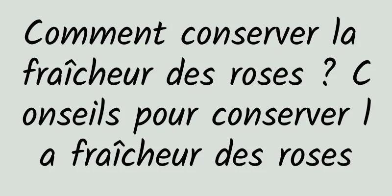 Comment conserver la fraîcheur des roses ? Conseils pour conserver la fraîcheur des roses